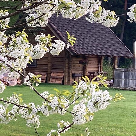 Affittacamere Mezupes Tūja Esterno foto
